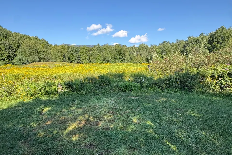 After: The same lawn with the lumber pile gone