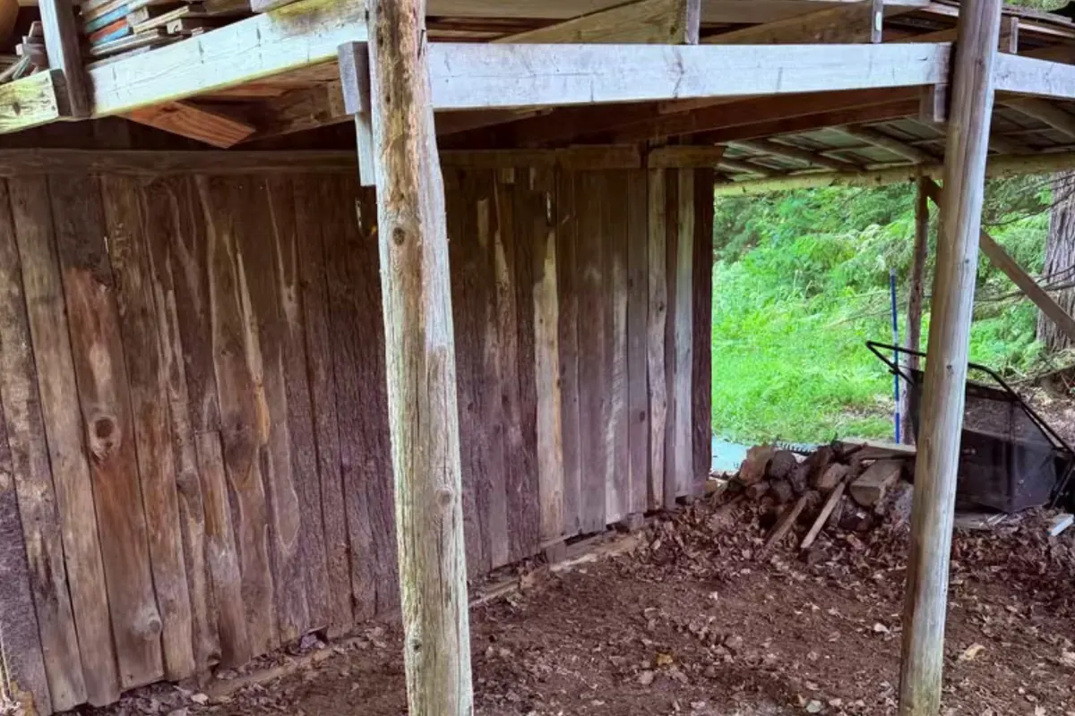 After: The shed overhang cleared out down to the dirt floor