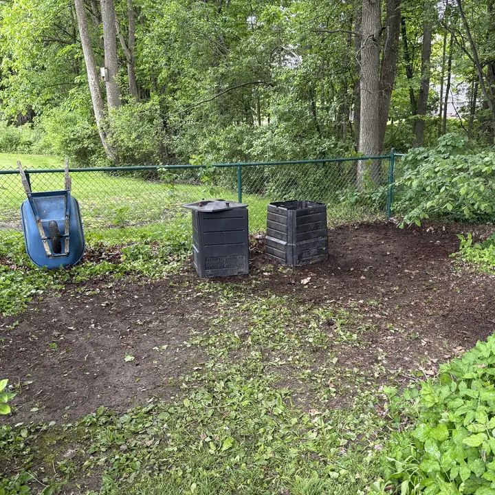 After: The area by the fence cleared of clippings