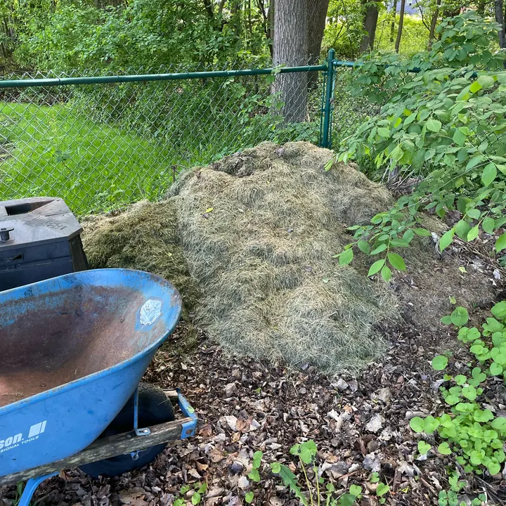 Before: Large pile of grass clippings by a fence